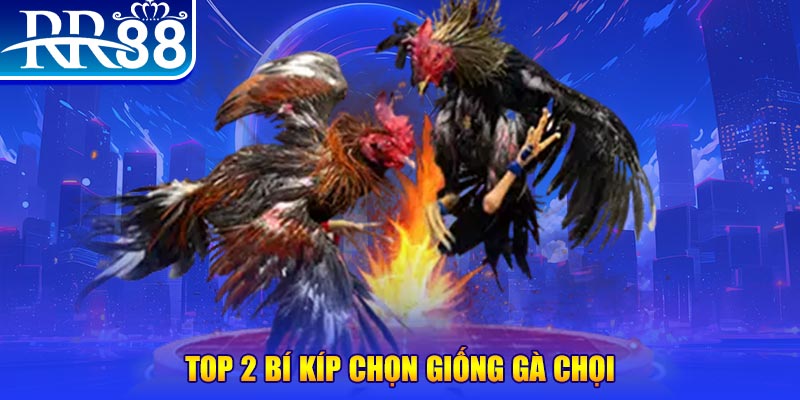 đăng nhập poker số 1