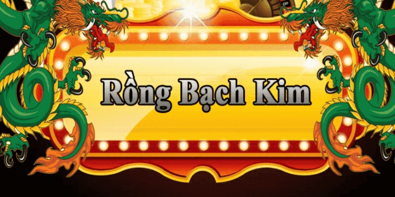 84win đăng nhập roulette 2025