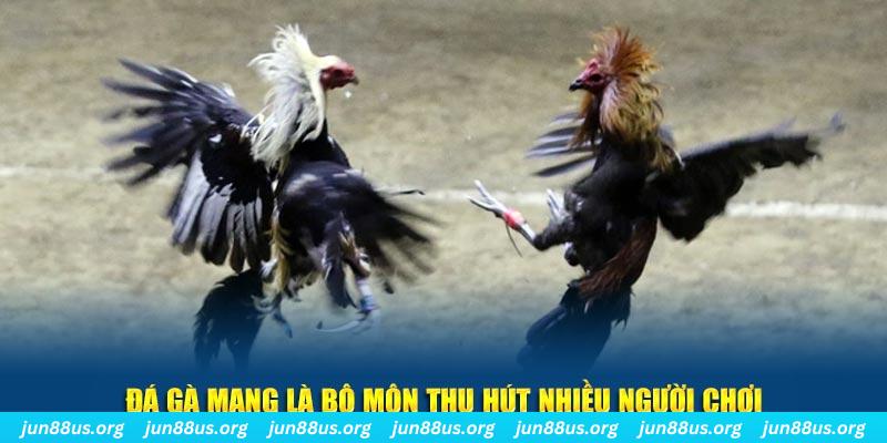 84win xổ số cà mau