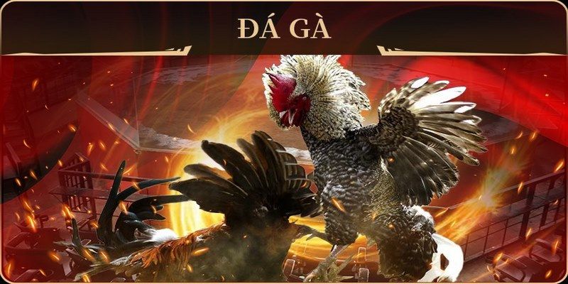 84win no hu doi thuong ai