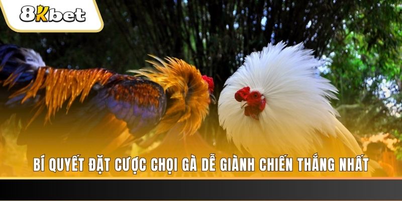 84win Tài Xỉu 2