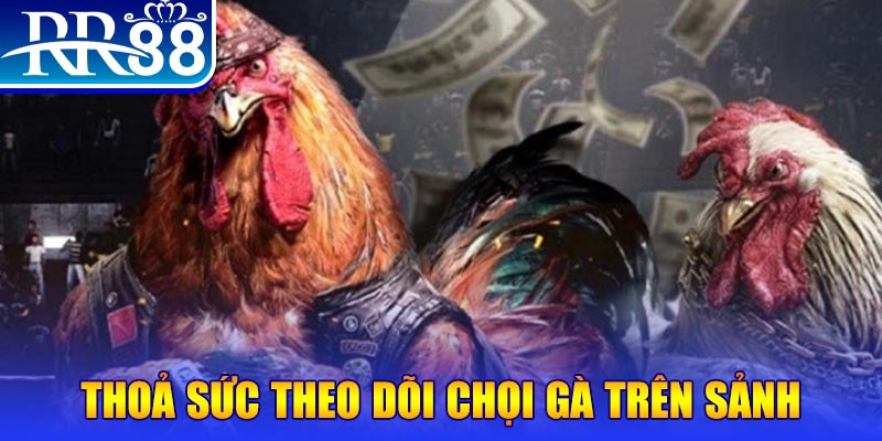 84win đá gà 88.com