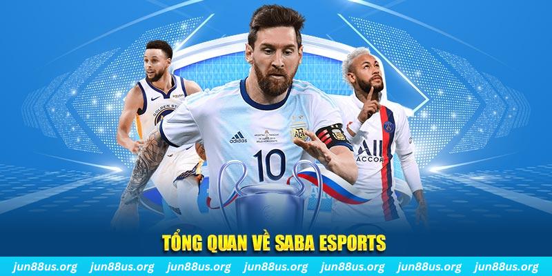 gà chọi c1 tv trực tiếp hôm nay